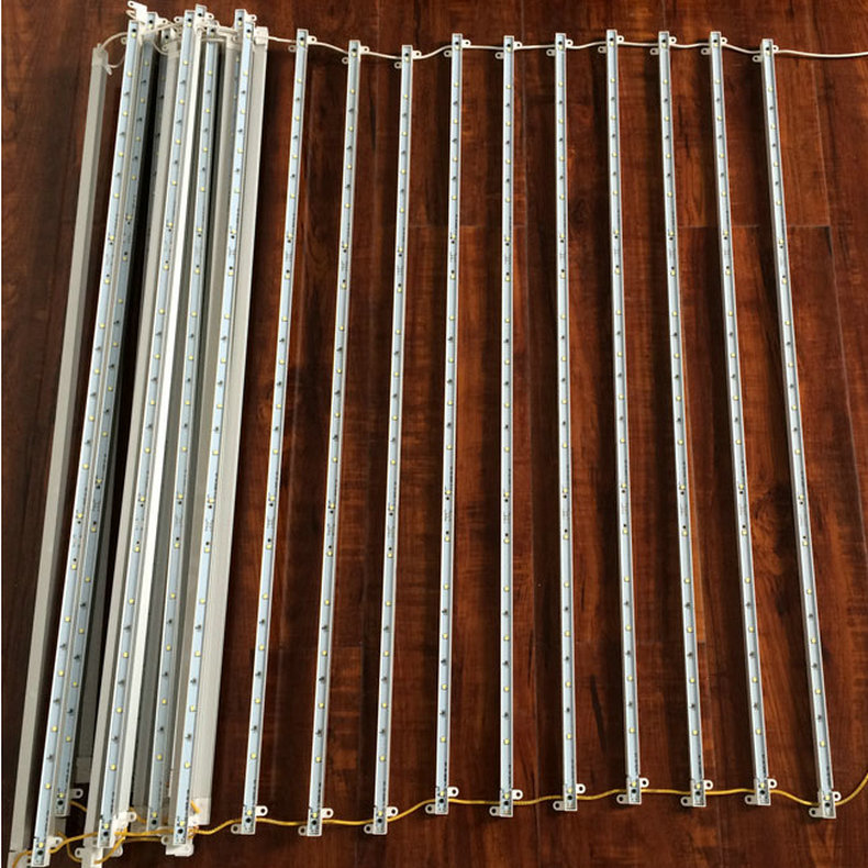 3573435827_805203439