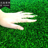 Simulation lawn kindergarten Turf carpet engineering Fence Roof green Artificial turf Plastic whole country construction