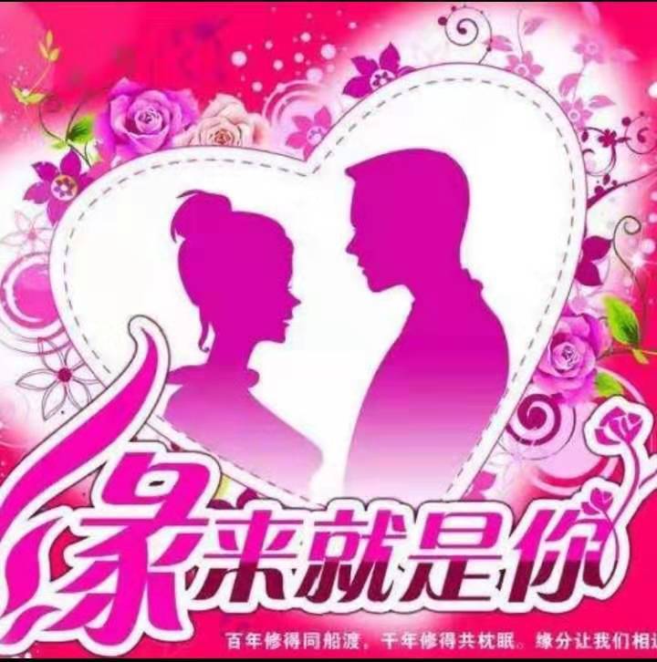 e38820dd0c62e1150f7a7a59888633