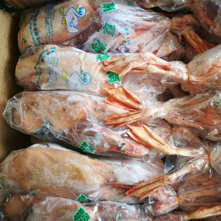 ���Sֱ�l�������������� ���l��߅�����������l���ֱ�l������