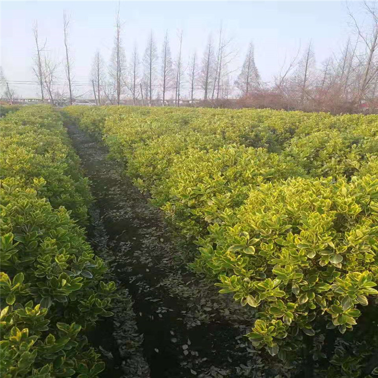 微信图片_20190924001004