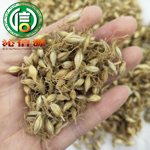 Full Malteus Raw Material Bulk 1kg Loose Packing Direct Supply Raw Malteus Qinxin Source TCM Wholesale
