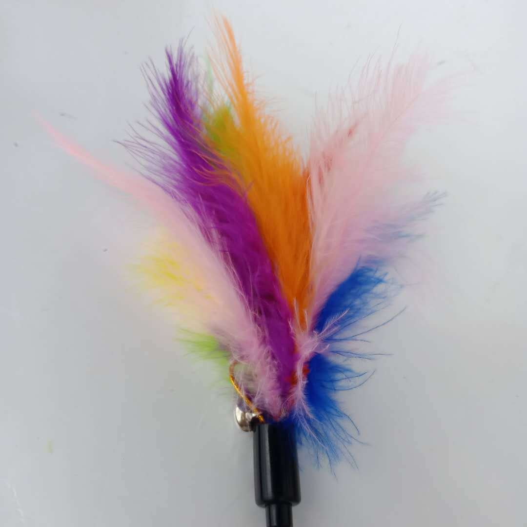 微信图片_20190406211358