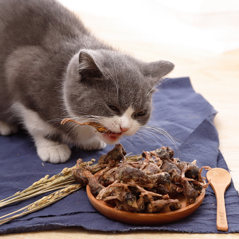 简装鹌鹑冻干猫零食10