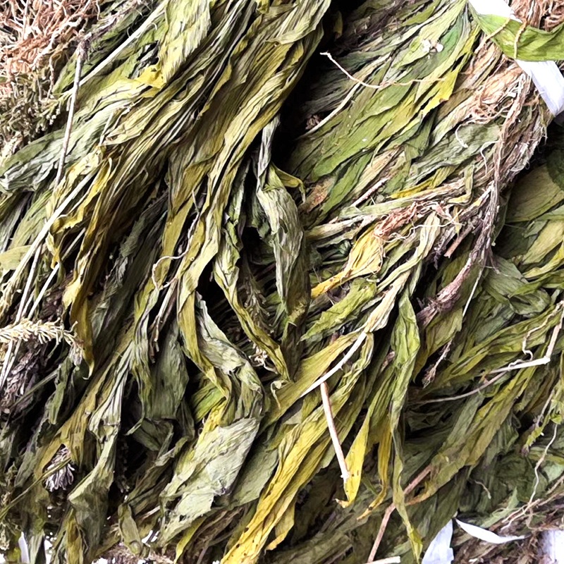 冷背中藥材見血青,見血清,黑蘭,脈羊耳蘭,紫星羊耳蒜走子草