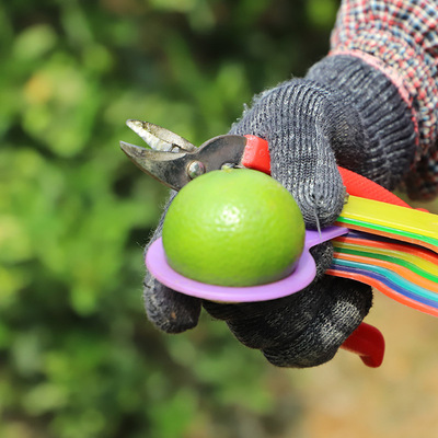 Guangxi Orange Orange Emperor Kom Yongquan Tangerine Granulated sugar Organic wholesale Gonggan Place of Origin Direct selling