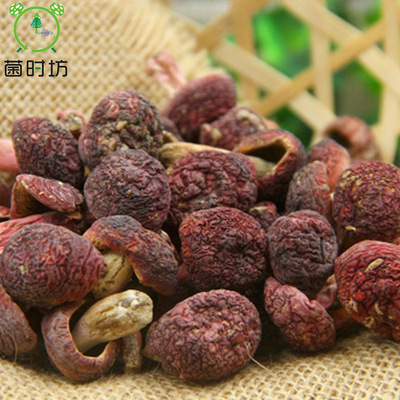 野生红菇 野生采摘蓝底红菇250g装 产地货源一件代发量大从优