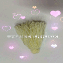 5.5CM��]�_˾�����K�S��ֱ�N ���|�ɫҎ�������ӆ�x �gӭ��