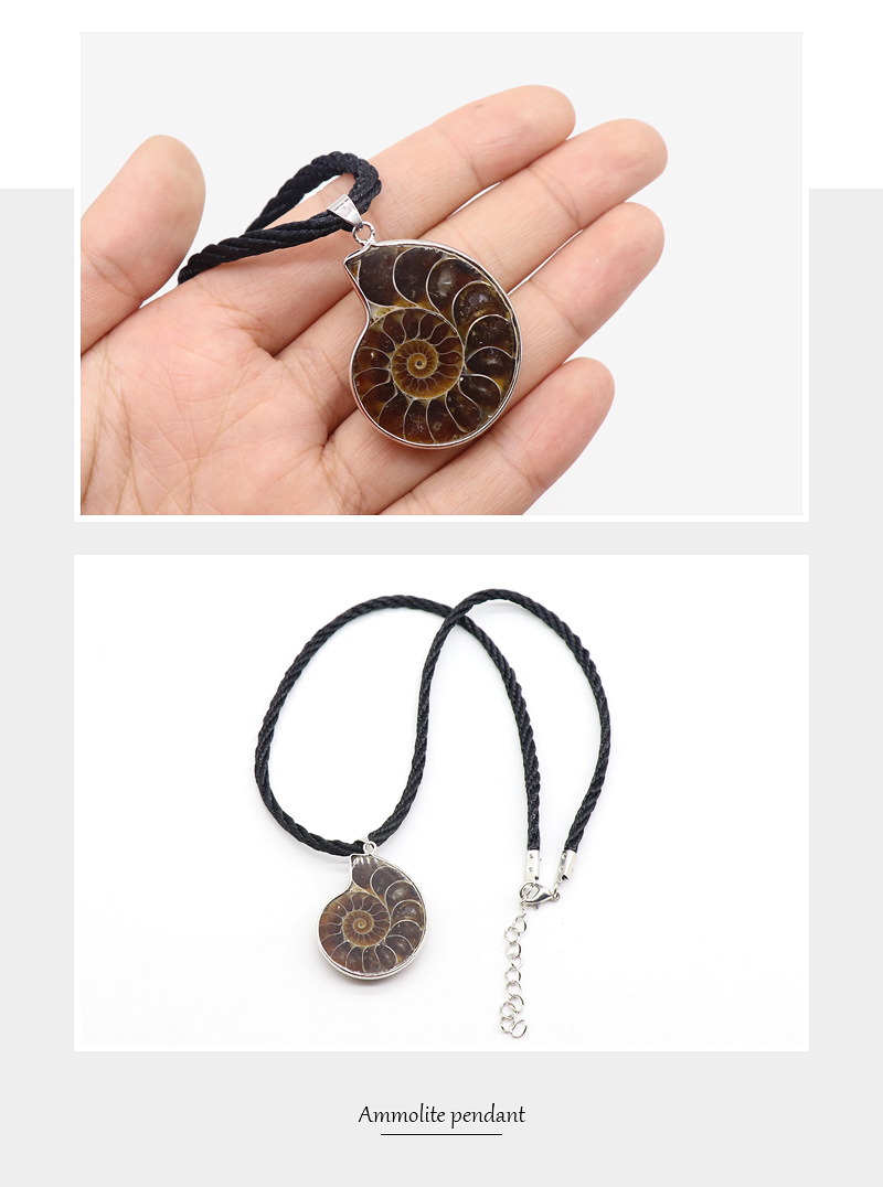 Retro Snail Fossil Pendant Necklace Wholesale display picture 10