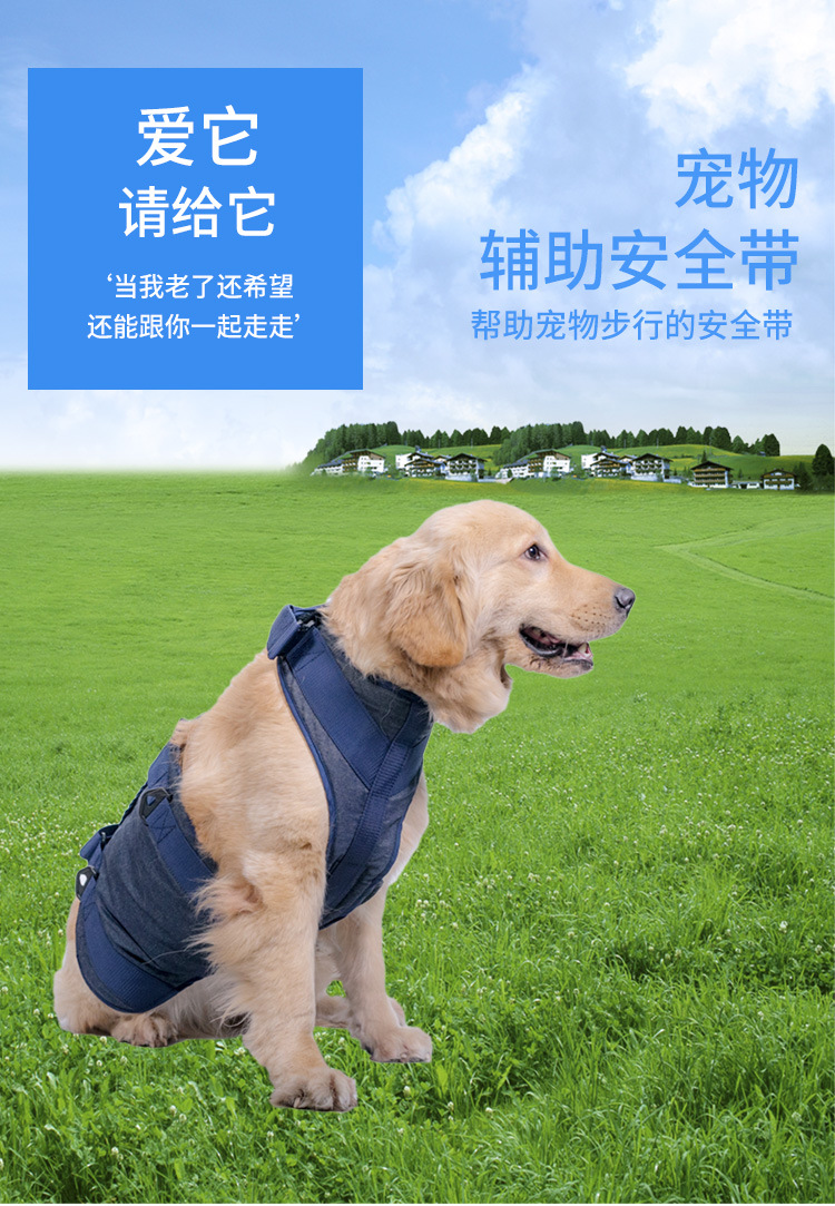 辅助带详情页_01