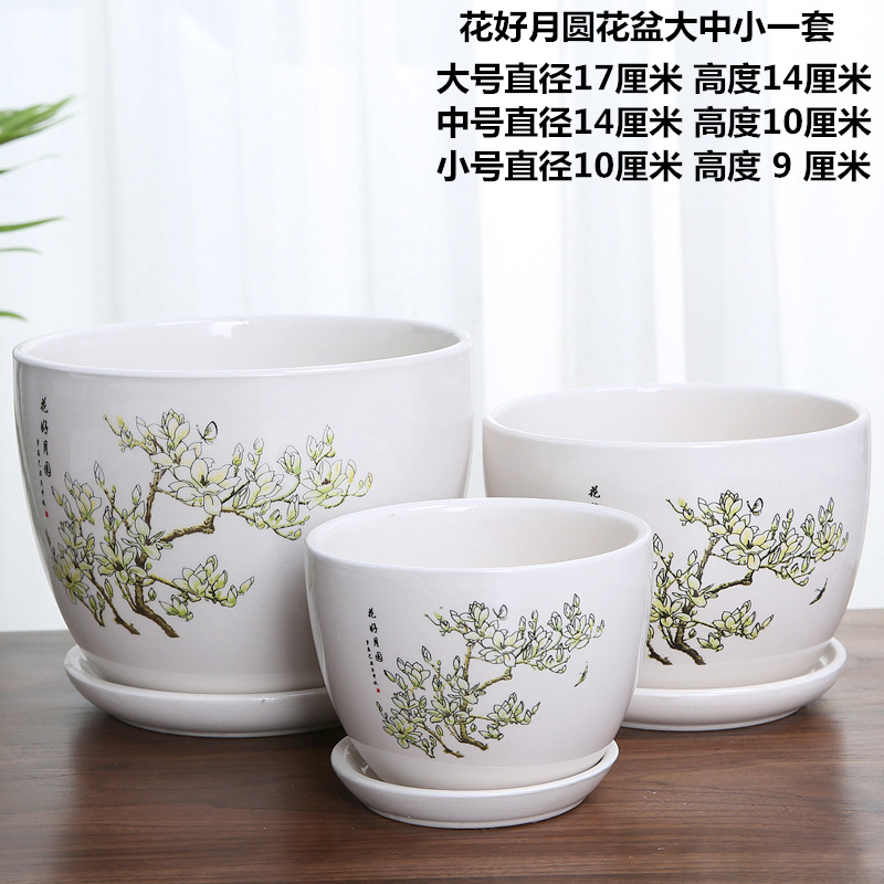 114A8960 副本_副本
