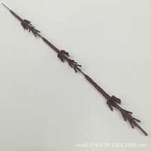 ����ֲ������� 3���辰��֦ ������� ���컨�z������ˮ�����