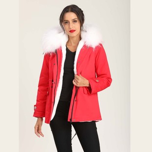 2025���¿�õ�tɫ���וr�б�ů�ýq��đ��ë�I�ɲ�ж�����ɿ˷�Ů