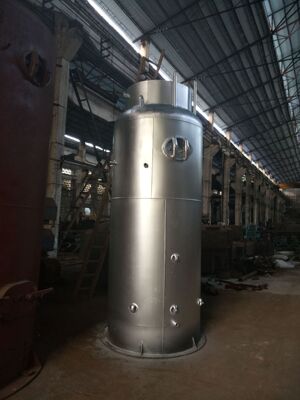0.32T Biology high temperature boiler Direct selling Zhugen boiler Great Wall