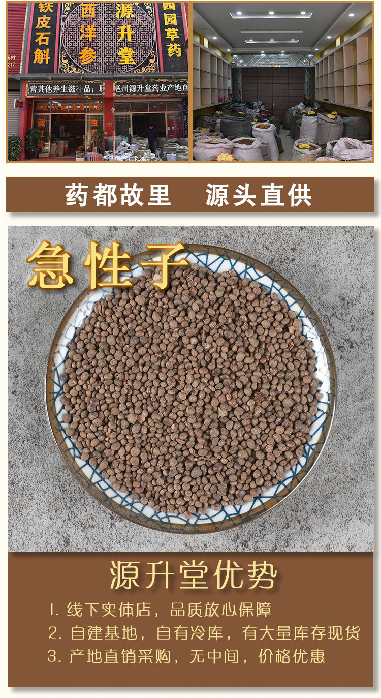 Ji Xing Zi (Impatiens balsamina Seed) — Dried Feng Xian Hua Zi Herbal Seed, 500g overview
