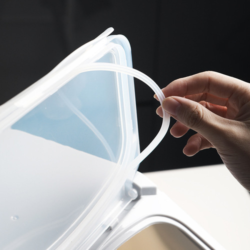 Kitchen rice bucket storage cabinet sealed transparent flip plastic grain storage box moisture-proof small rice box home
