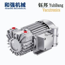 ̨��╰���ձ� VACUTRONICS/DV-5V ��Ƭʽ�o�ͱ� �m���������P