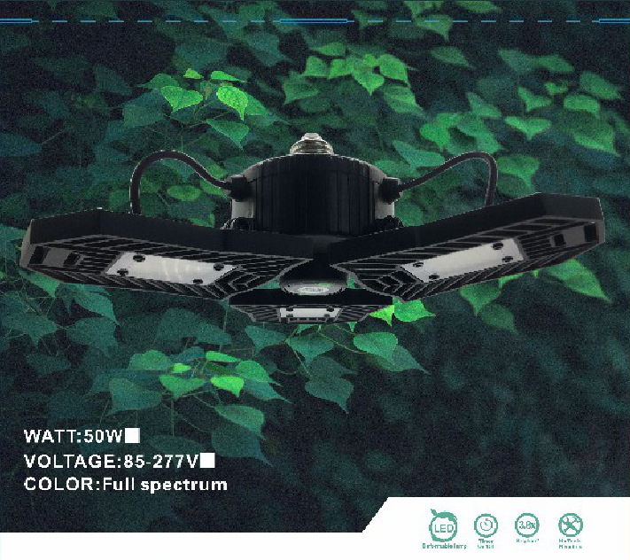 LED Transformer Plant Light