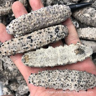 �Űͅ� ������ �����̅� �Ұ��������15-100�^���l