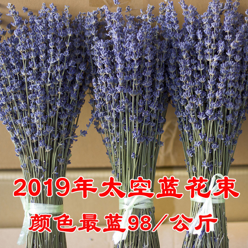 新疆2020年太空蓝秋花薰衣草干花束 婚礼家居摆放装饰情人节礼物|ms