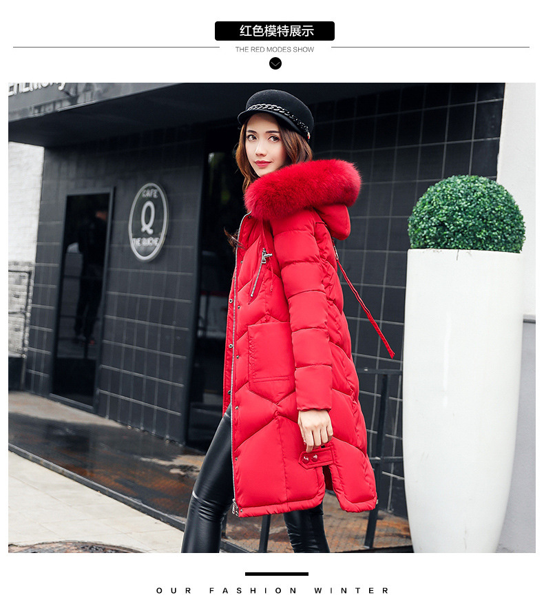 Long Cotton Jacket Image 4