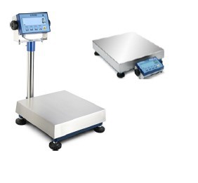 意大利DINIARGEO不锈钢TCP网口电子台秤 高精度电子台秤WEDST6