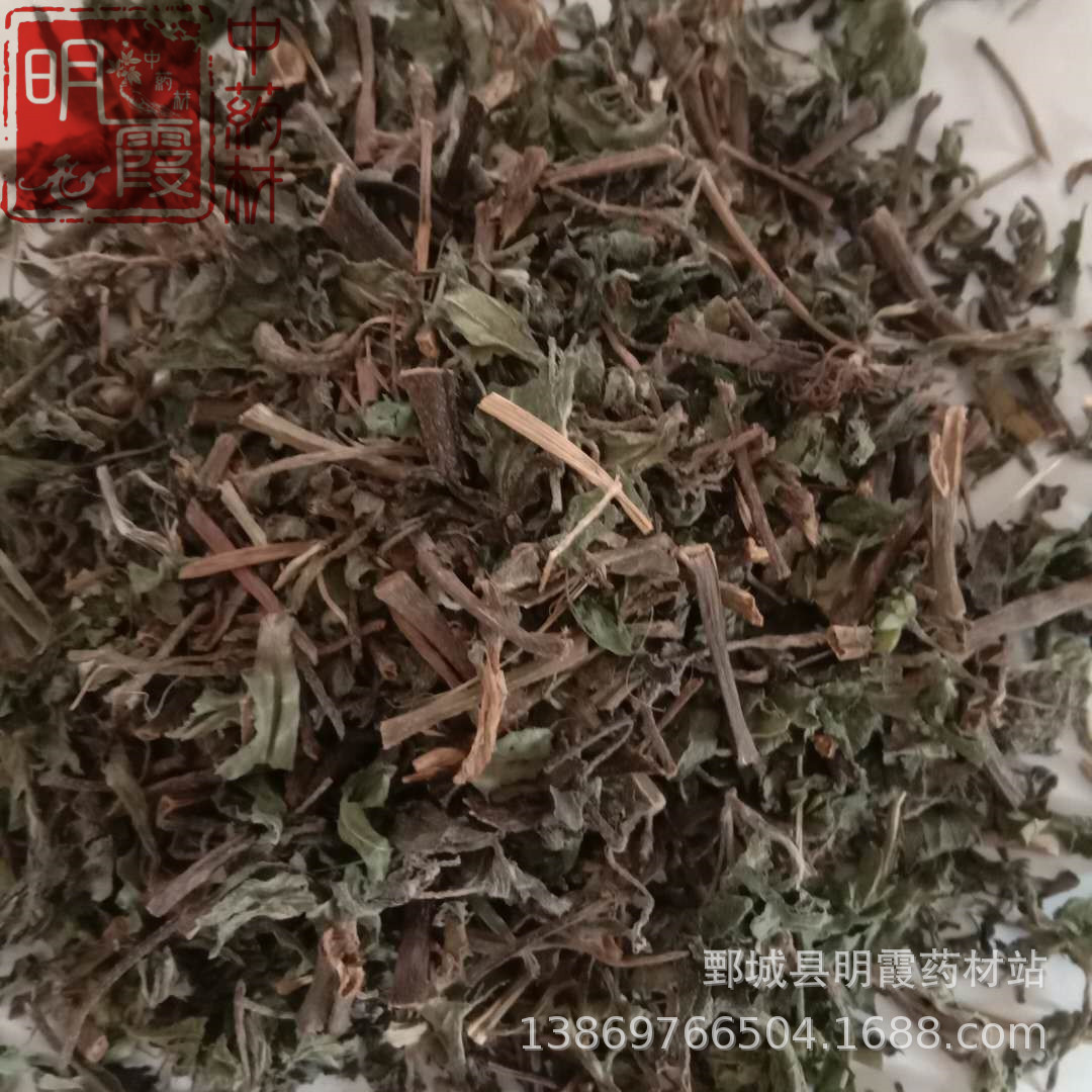 【旱莲草】1000克 批发零售供应中药材  产地供应