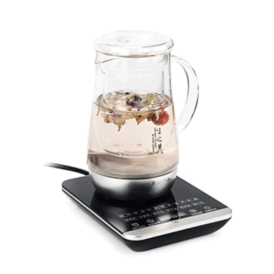 康路宝多功能迷你养生壶隔水炖燕窝壶加厚玻璃养生壶花草电热茶壶