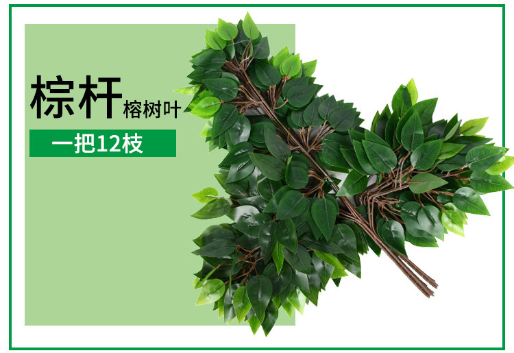 10716876009_237492366