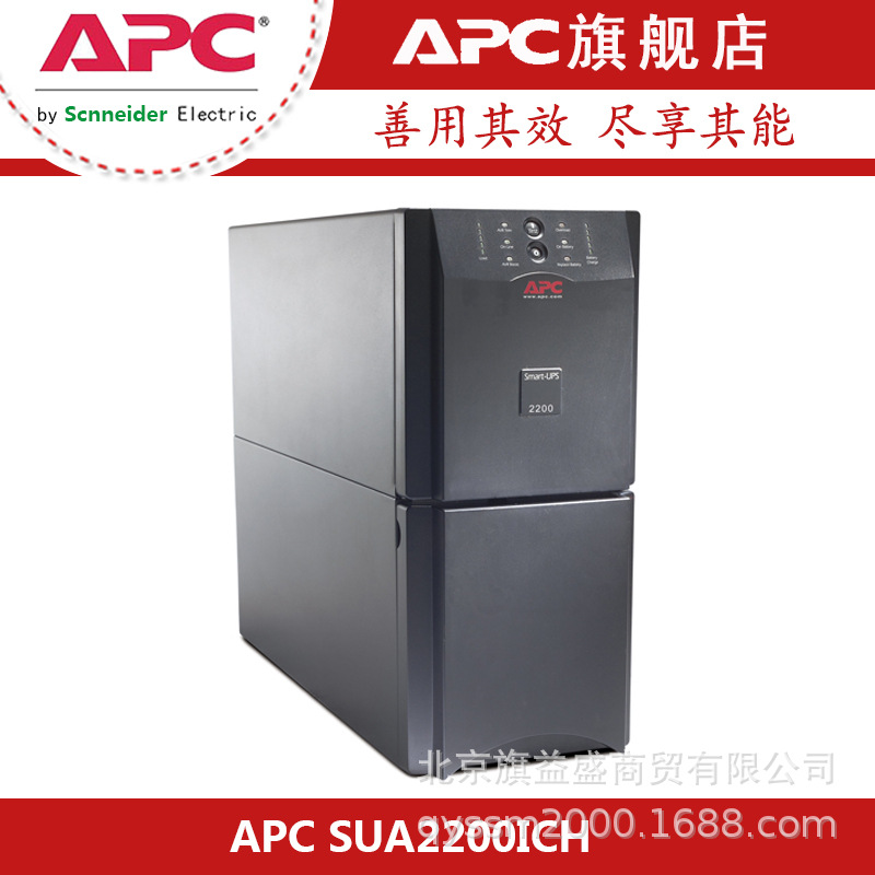 APCUPS SUA2200ICH (4)