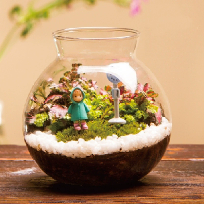 Мох Микро Пейзаж Креативные Подарочные Украшения Зеленое Растение Бутылка Моха Экологическая Бутылка Пробка с Светлым Костюмом Горшечное Растение