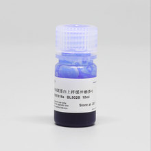 biosharp BL502B SDS-PAGE蛋白上样缓冲液(5X) 10ml/瓶