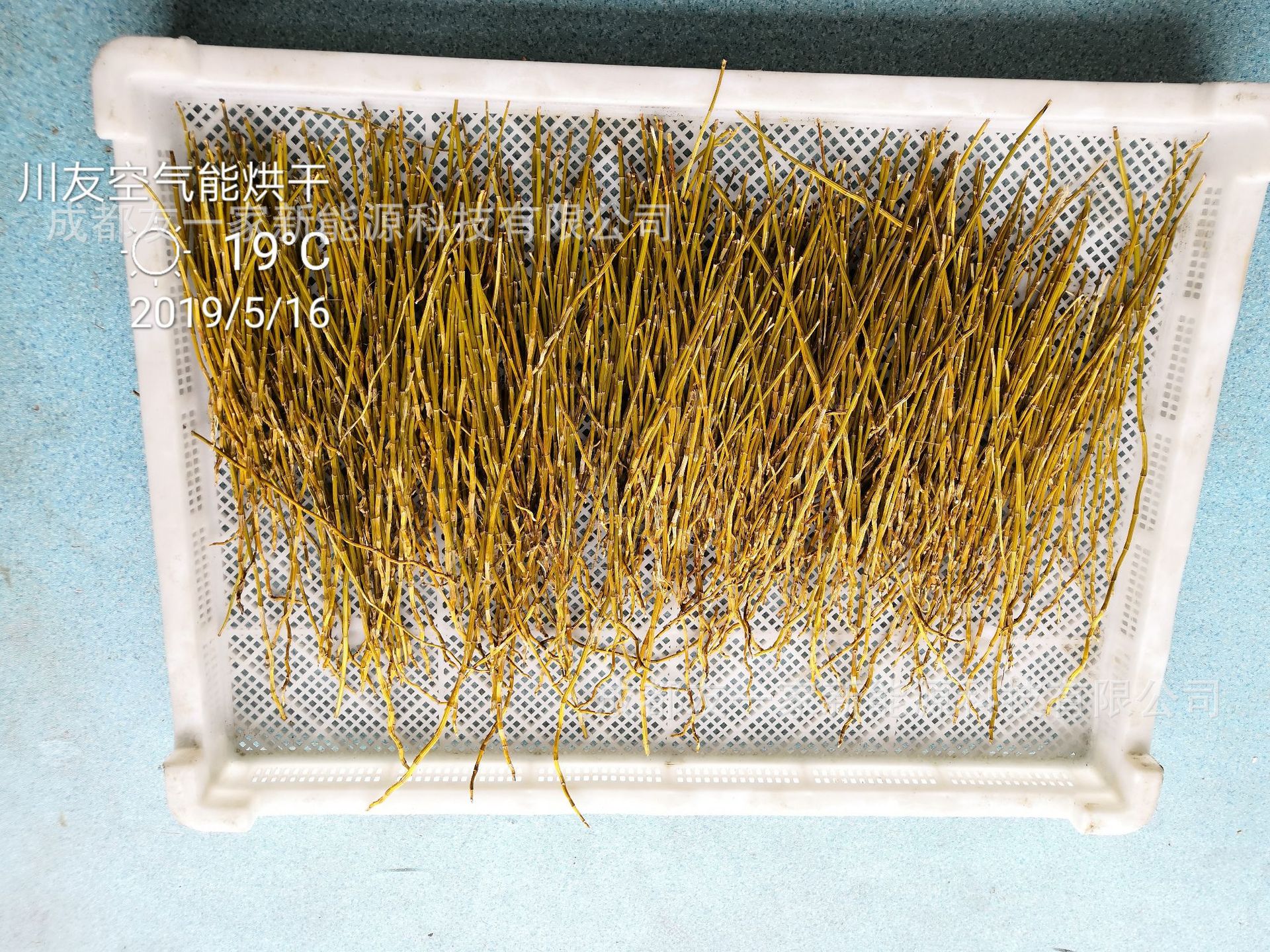 中草药石斛干燥设备 铁皮石斛烘干机烘干箱 金银花烘干房