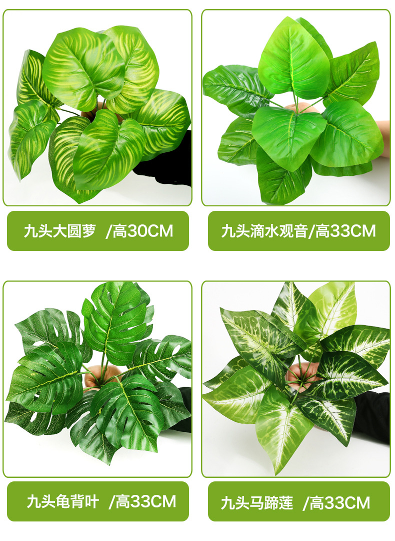 小植物_05.jpg