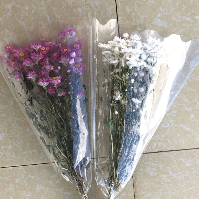 微信图片_20190301122221_副本