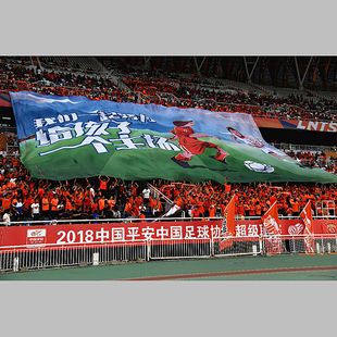 ��������A110g���鲼�V�������޷����� �������W�۲����