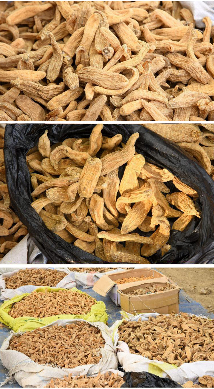 Tianma Gastrodia Root 250g Changbai Mountain Understory Cultivated Herb Slices for Decoction and Wellness in use