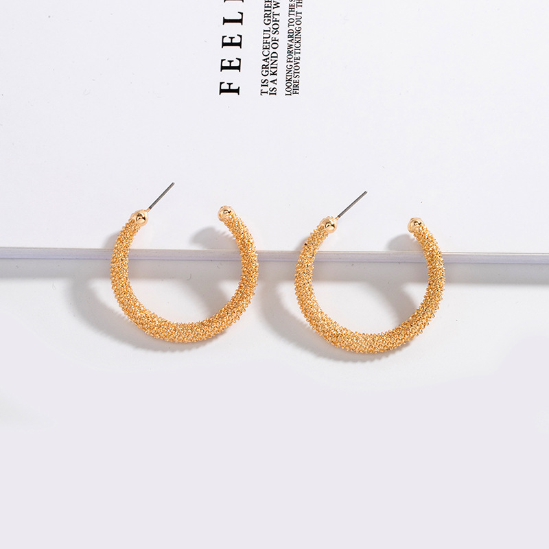 Korea Fashion Trend C-shaped Retro Exaggerated Earrings Ear Jewelry For Women display picture 5