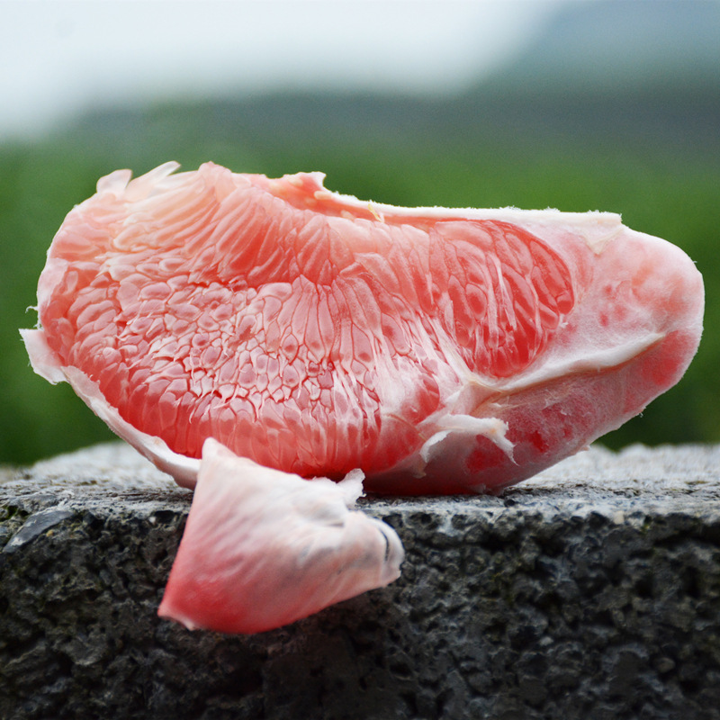 广西新鲜水果三红蜜柚红心柚子爆甜 产地直发 批发