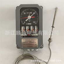 BWY-804D變壓器溫度控制器油面溫控儀溫度指示計WTYK/BWY-804AJ