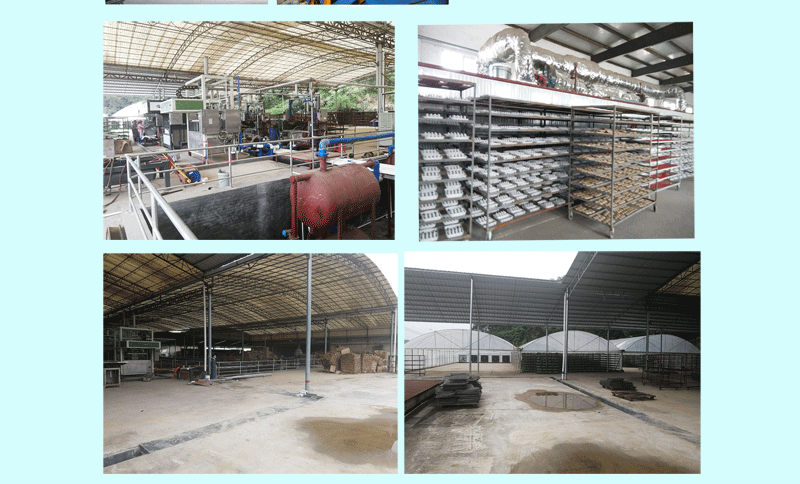 水果托详情页_09