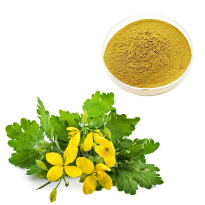 慧科销售白屈菜提取物厂家供应白屈菜粉*供应白屈菜提取物*