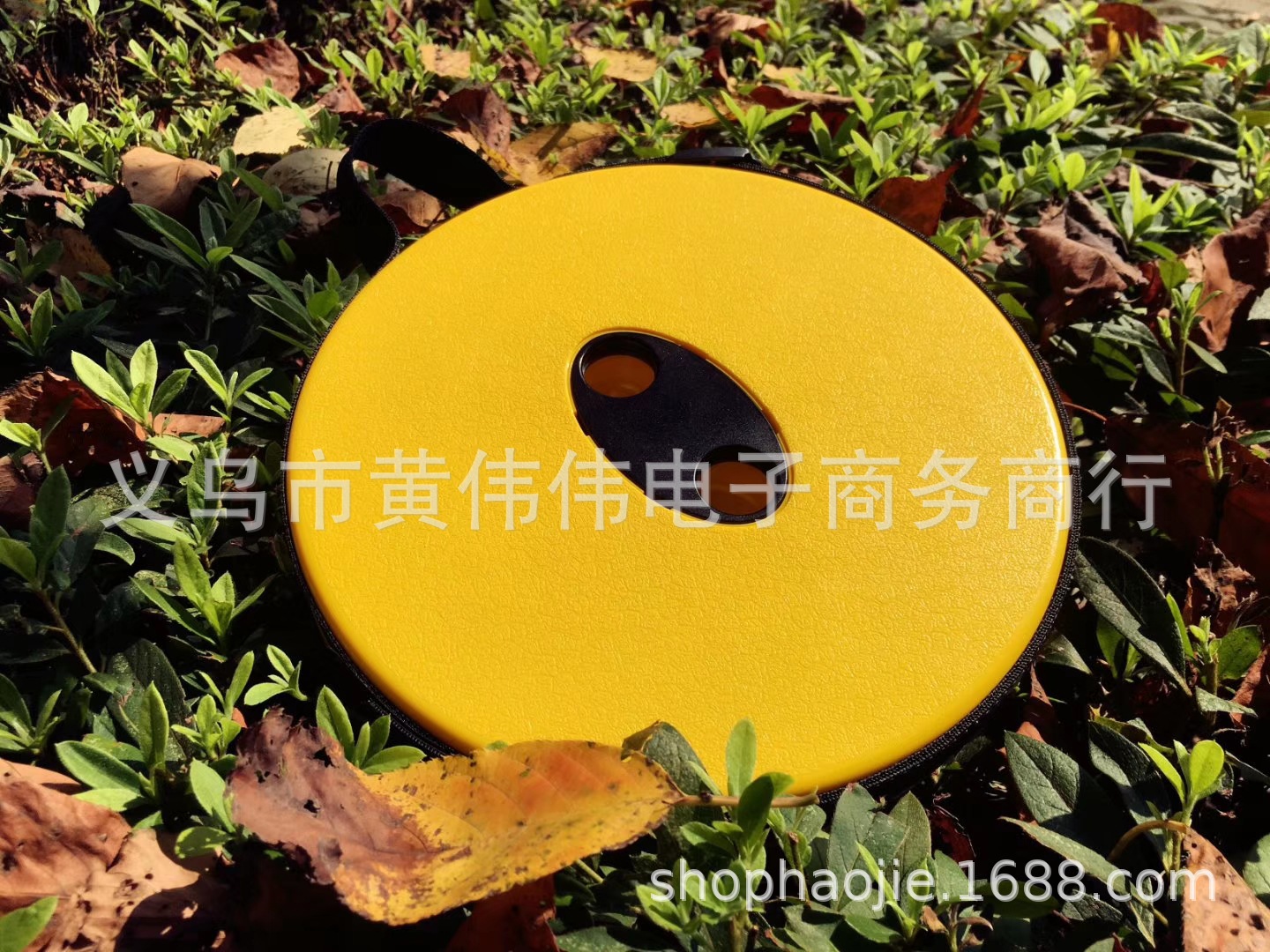 mmexport1571295895115