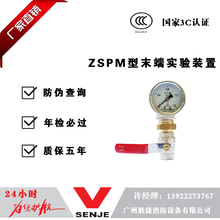 �V�|�ٽ�ZSPM��ĩ�ˌ���b��