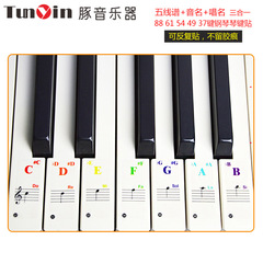 88/61/54/49/3732 Key Piano Transparent Stickers Electronic Piano Keyboard Handroll Simplified Music Scale Stickers Wholesale