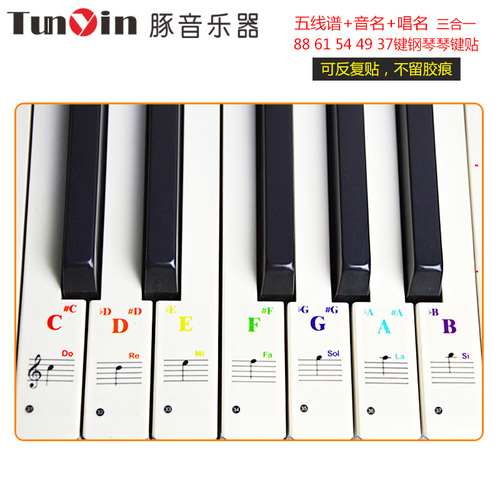 88/61/54/49/3732 Key Piano Transparent Stickers Electronic Piano Keyboard Handroll Simplified Music Scale Stickers Wholesale