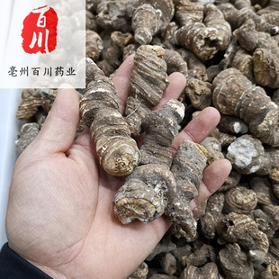 �ؘ���ș�� һ�� �ؘ�ș�� �ؘ���Ƭ ���~һ֦���}�� �o�l���˓Q