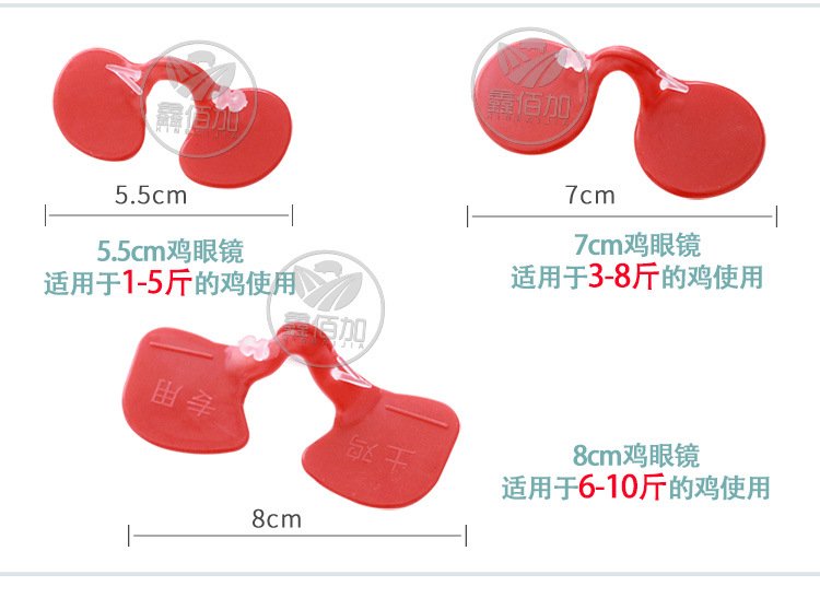 鸡眼镜CA详情页 (3).jpg