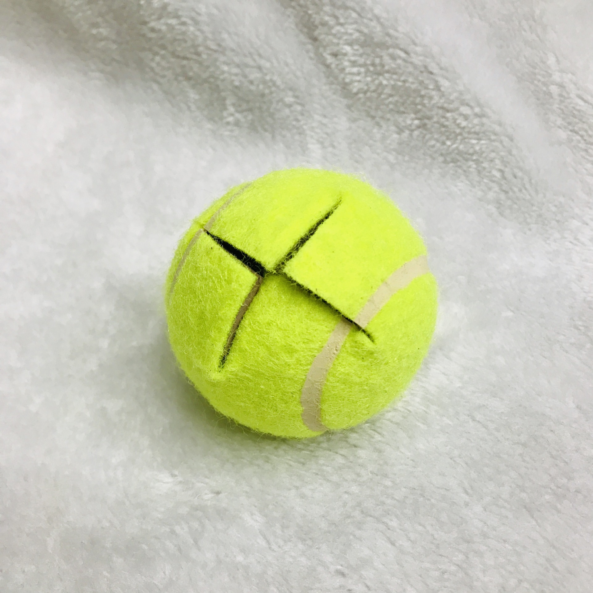 IMG_7448(20190429-143354)