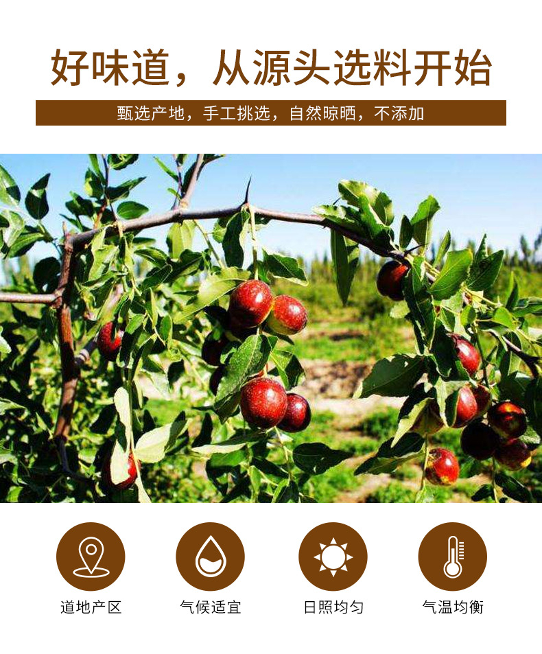 Red Jujube Slices (Ziziphus jujuba) — Xinjiang Dried Date Crisps for Tea & Snacking, 160g Jar key features